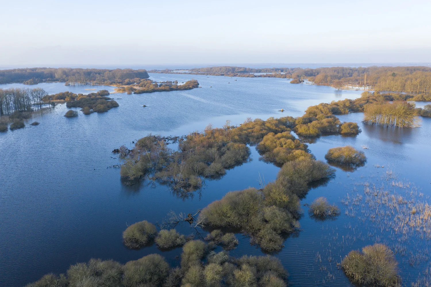 Lac de Grand-Lieu