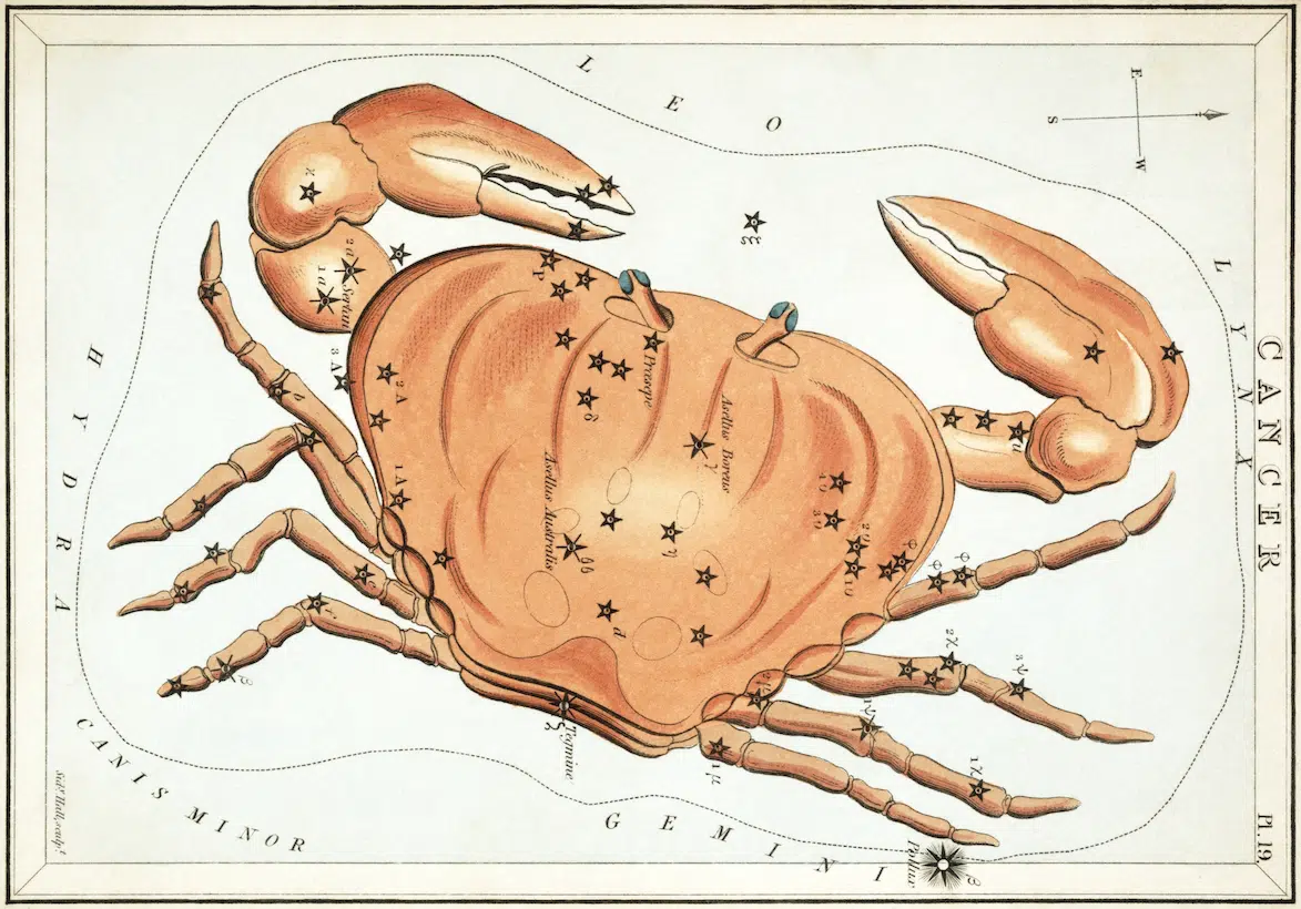 Constellation cancer Hercule - 12 travaux d'Hercule - La culture générale