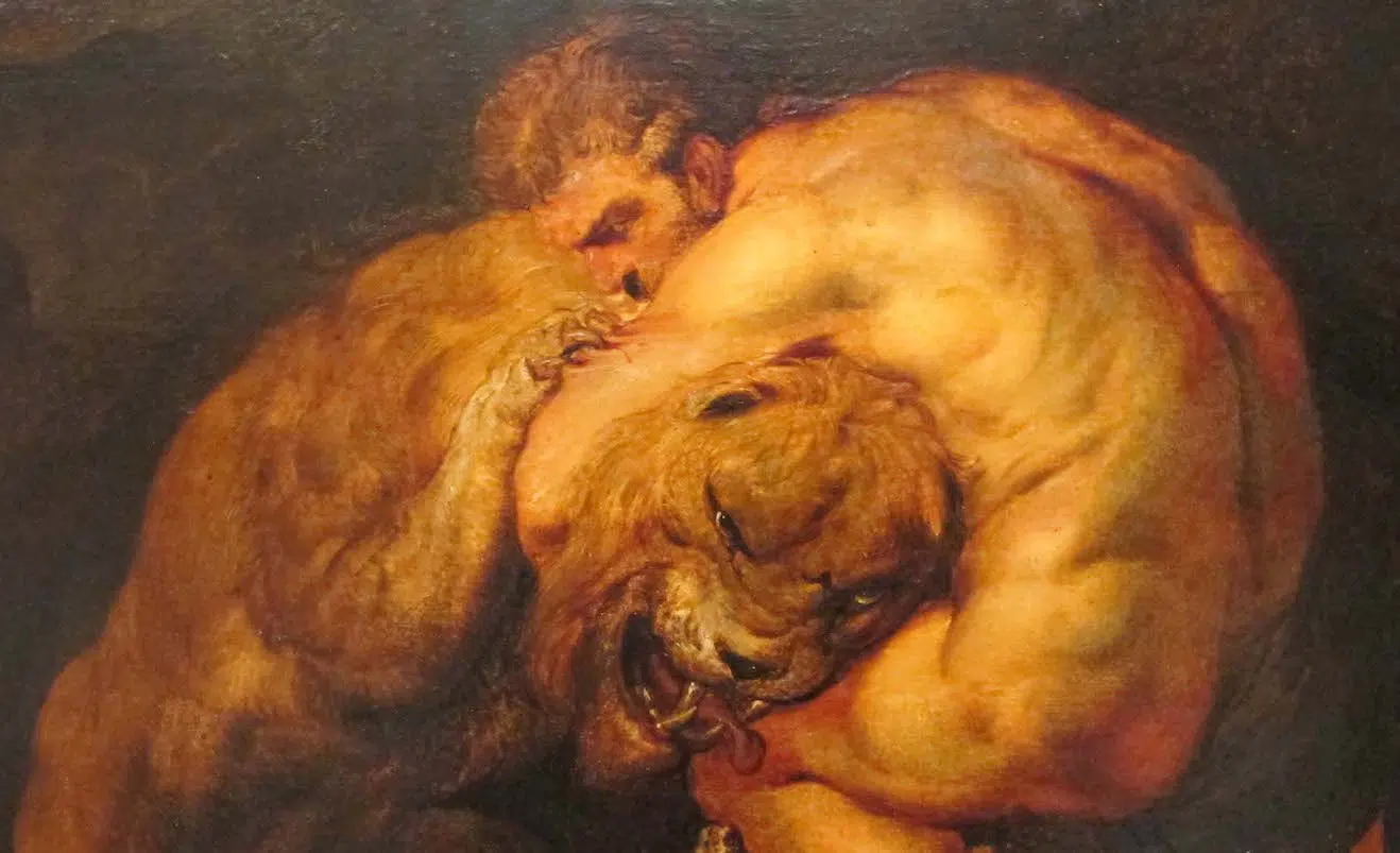 Rubens Héraclès Lion de Némée - 12 travaux d'Hercule - La culture générale