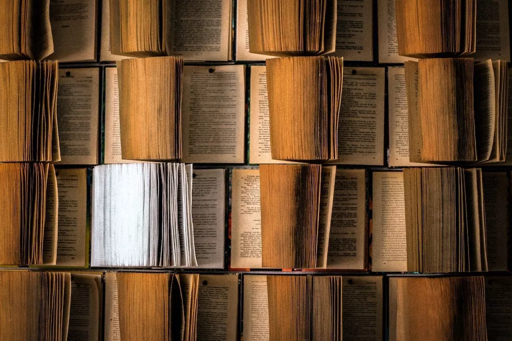 Quiz : on vous donne le verbe, donnez le nom 📚