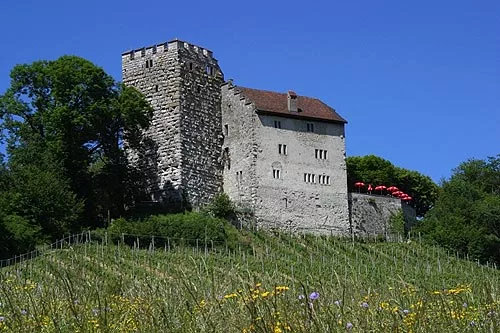 habsbourg château