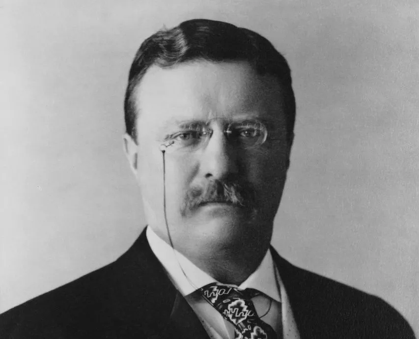 theodor roosevelt gilded age