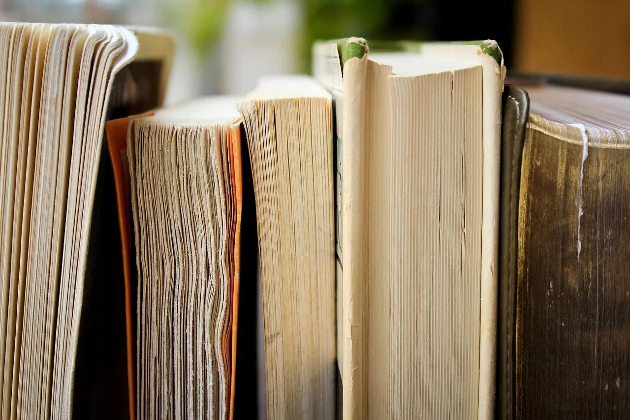 Quiz : vocabulaire (n&deg;2) avec r&eacute;ponses