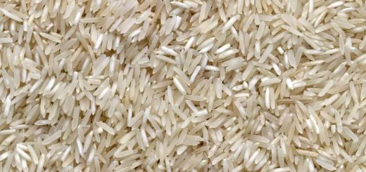 riz complet riz blanc différence