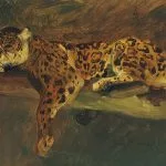le reve du jaguar poeme leconte de lisle