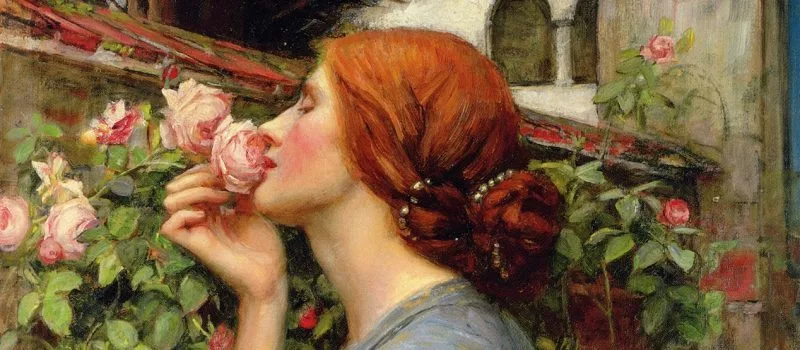 Mignonne, allons voir si la rose...| Poème de Pierre de Ronsard