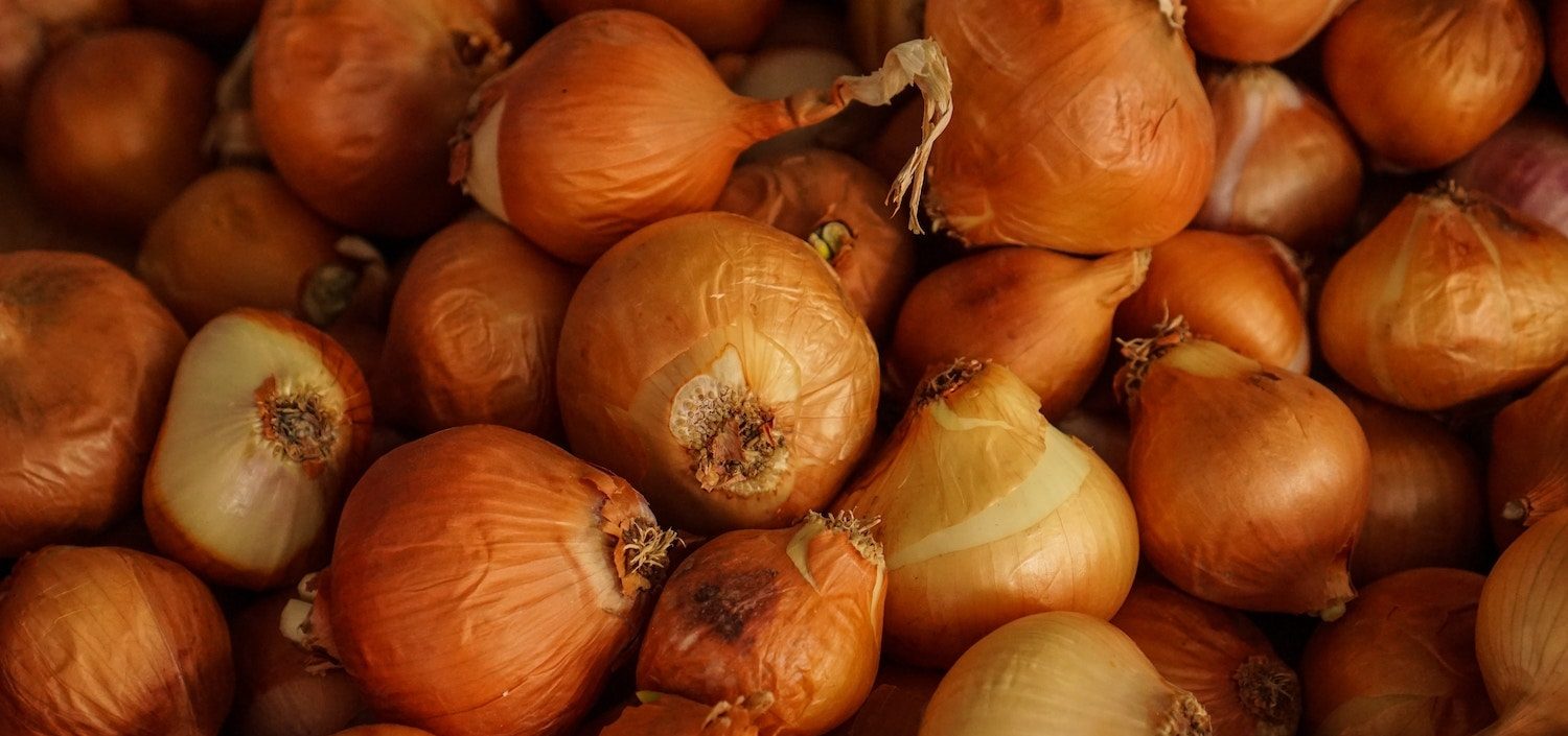 &laquo; Oignon &raquo; ou &laquo; ognon &raquo; ? Comment l&rsquo;&eacute;crire ? 🧅