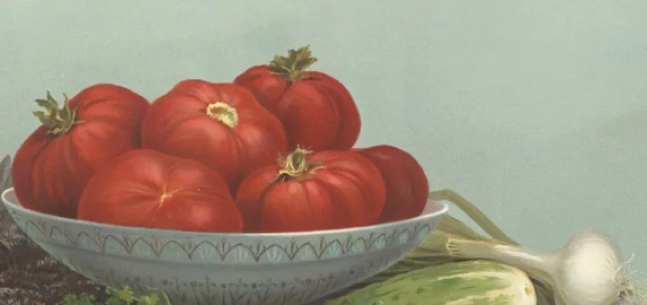 tomate fruit legume