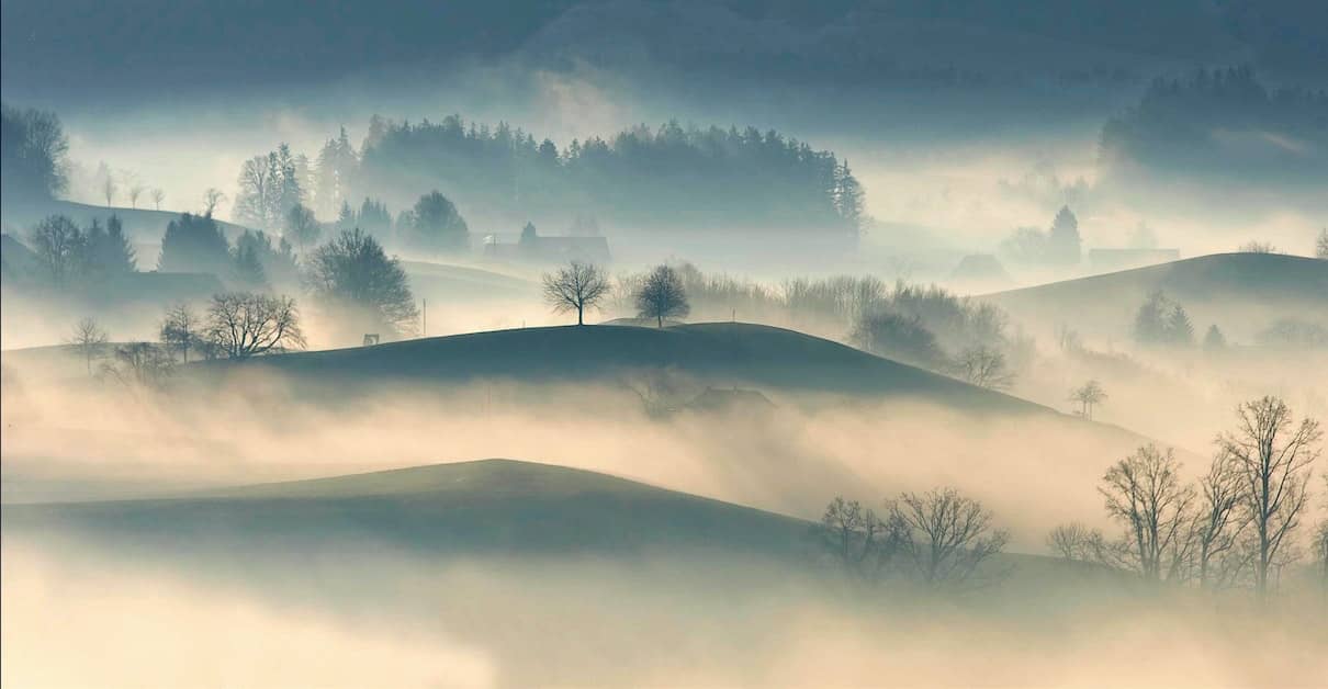 Brouillard et brume : quelle diff&eacute;rence ?