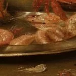crevette gamba difference