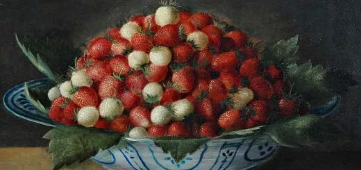 sucrer les fraises signification origine définition