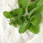 orthographe Yaourt yoghourt yogourt