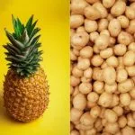 plantes venues amerique liste aliments