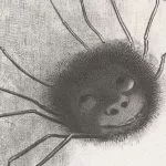 araignée au plafond expression signification origine