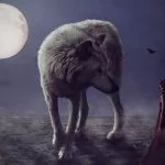avoir vu le loup origine expression