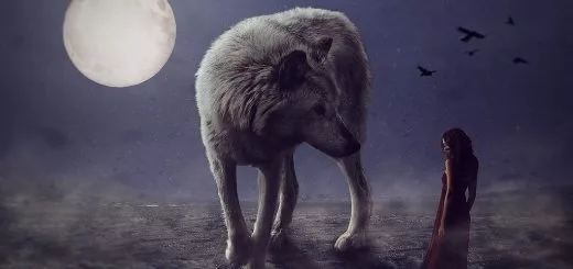 avoir vu le loup origine expression