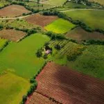 battre la camapgne definition origine signification