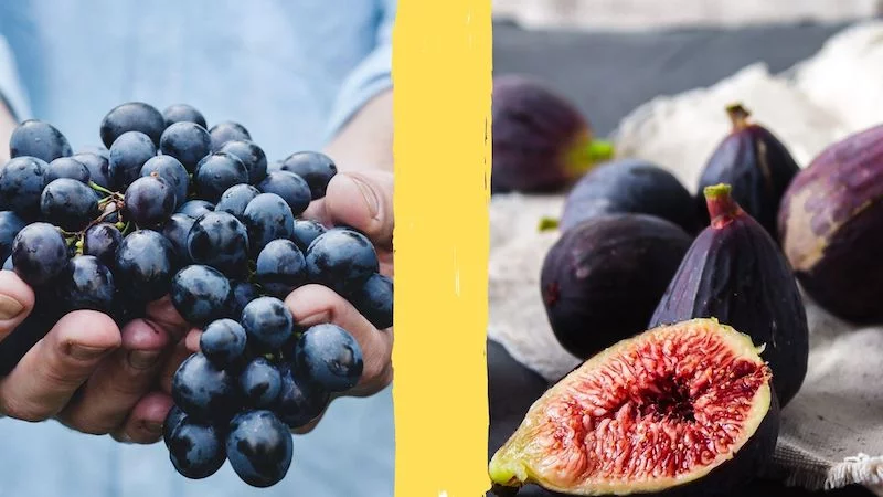 Mi-figue mi-raisin : d&eacute;finition & origine (expression) 🍇