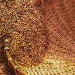 veiller au grain definition origine signification expression