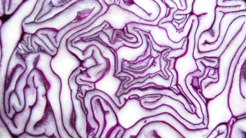 Faire ses choux gras : d&eacute;finition & origine (expression) 🥬