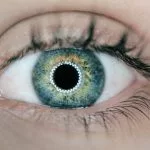 au vu de ou au vue de orthographe