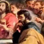 mea culpa pluriel