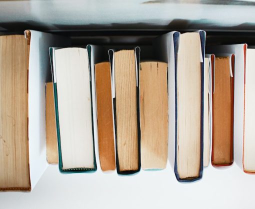 « Abhorrer » et « arborer » : quelle différence