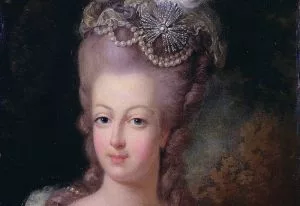 qu'ils mangent de la brioche marie antoinette