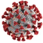 infecter infester difference paronymes