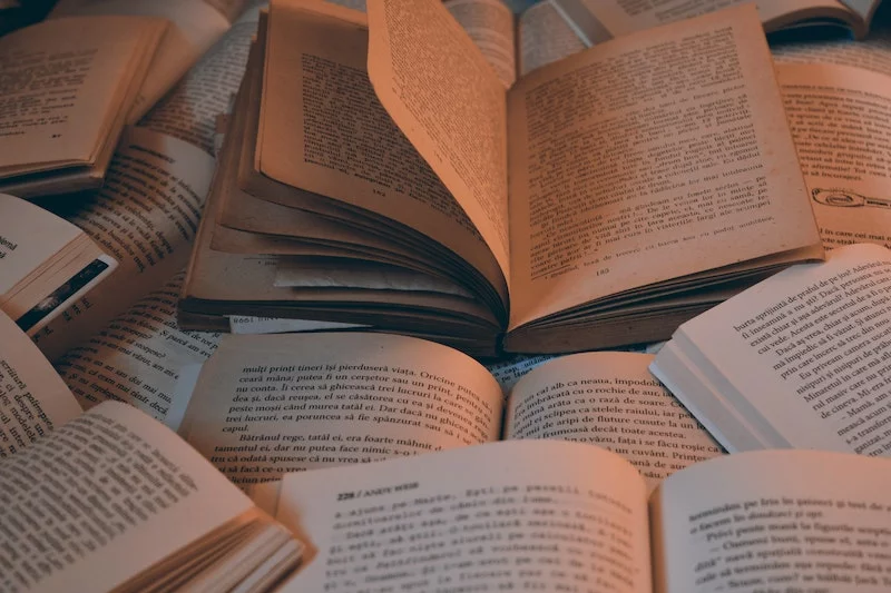 Gageure : définition · prononciation · étymologie