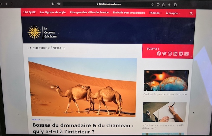 Une url : qu&rsquo;est-ce que c&rsquo;est ?