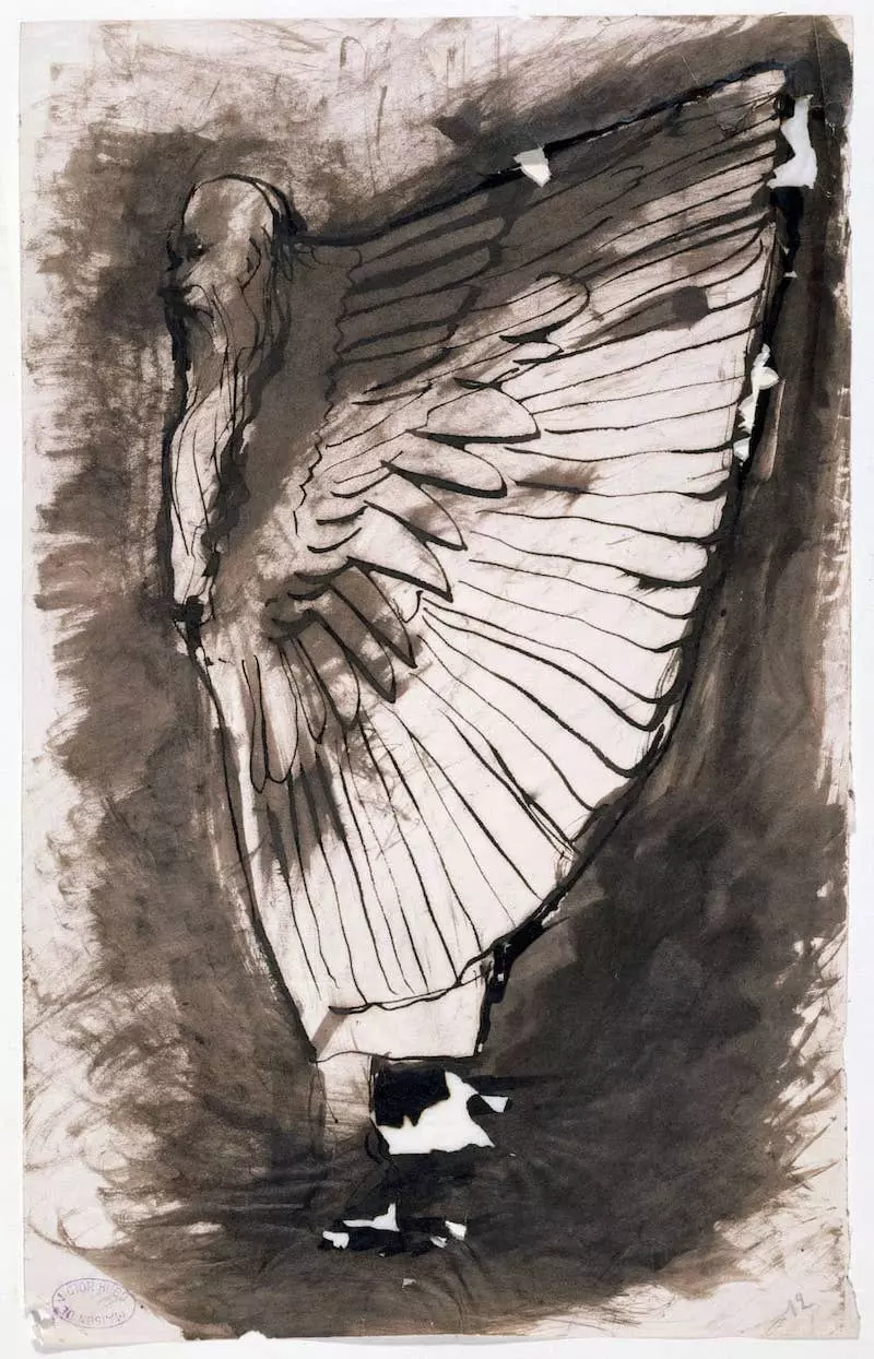 dessins victor hugo homme oiseau