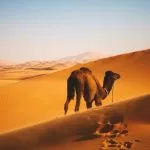 liste deserts monde plus grands deserts