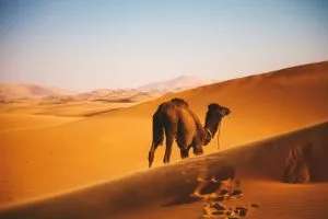 liste deserts monde plus grands deserts