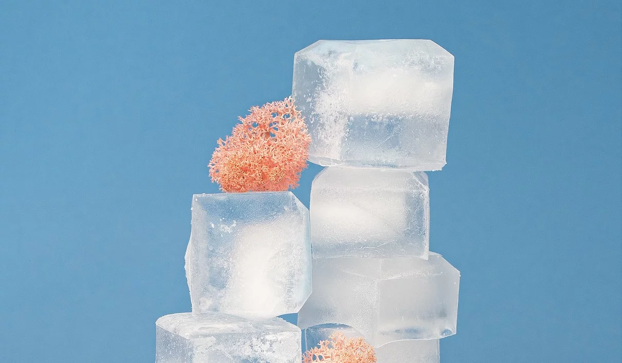 &laquo; Glacial &raquo; : quel est le pluriel ? &laquo; Glacials &raquo; ou &laquo; glaciaux &raquo; ?