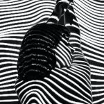 noires et blanches noir et blanc orthographe