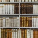 quiz avez vous un bon vocabulaire