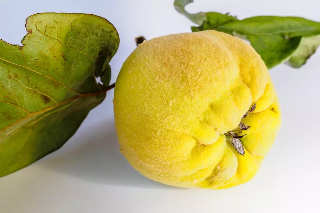 quiz fruits coing