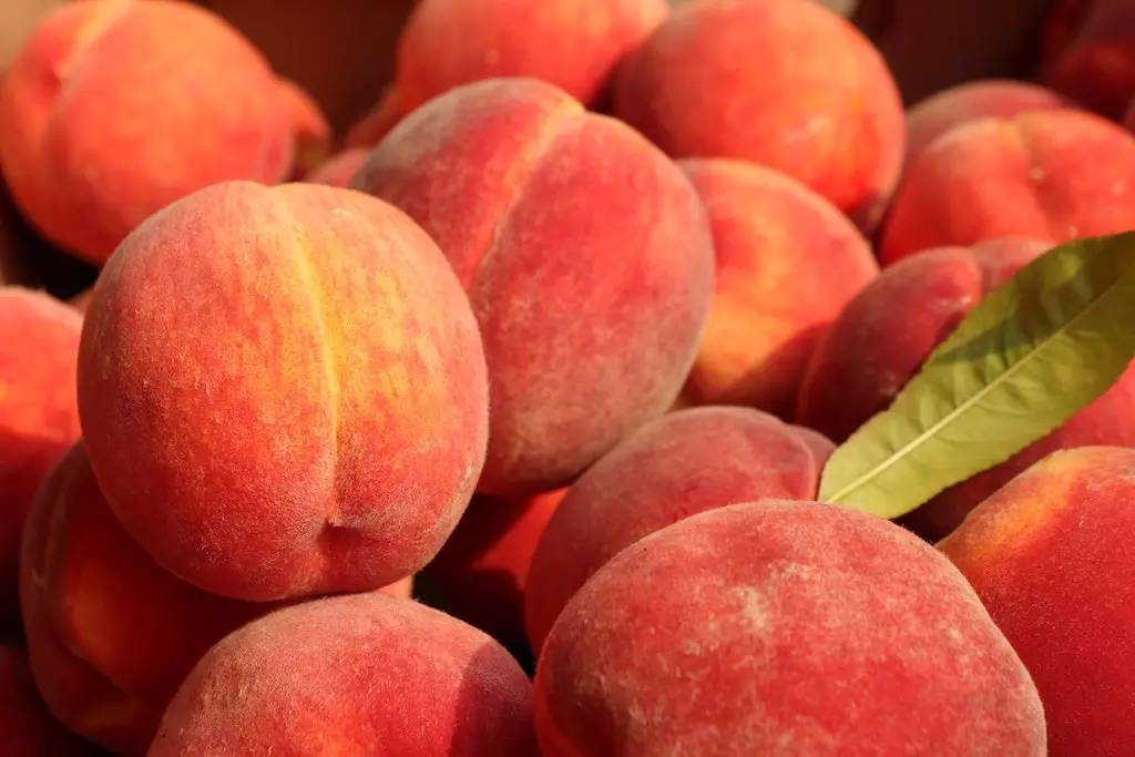 quiz fruits peche
