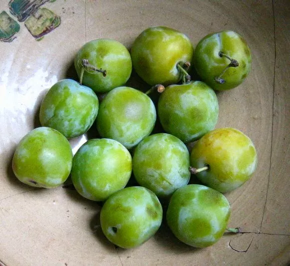 quiz fruits reine claude