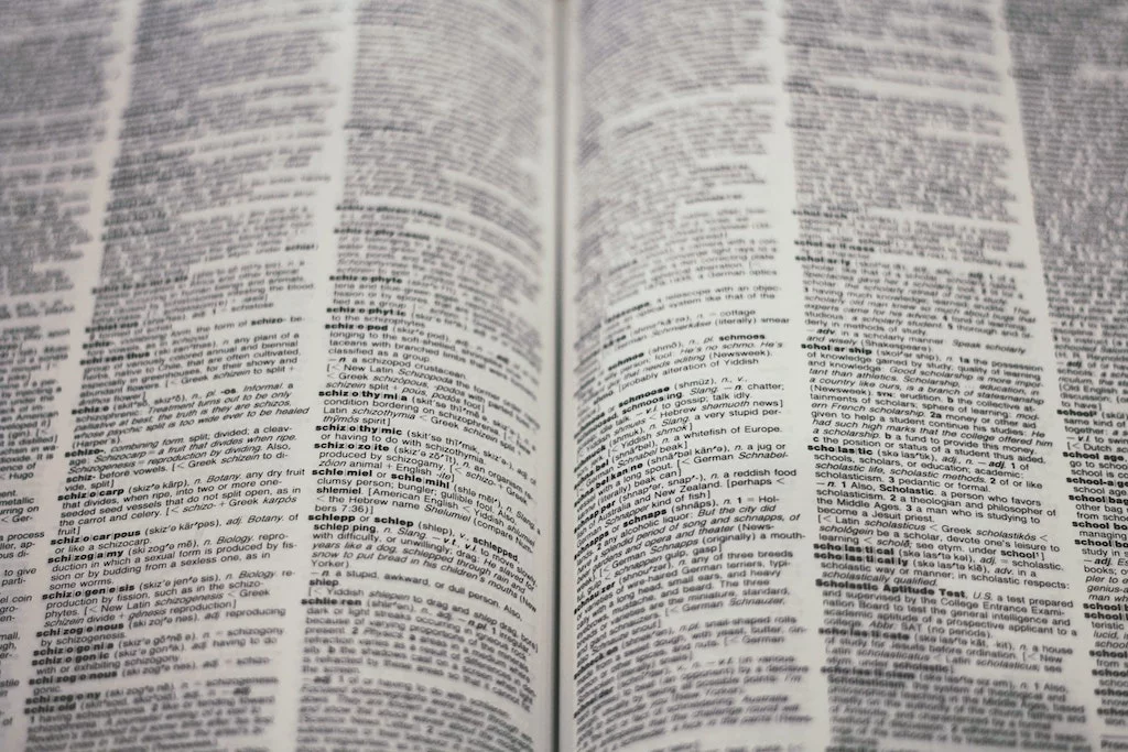 22 mots sans &eacute;quivalents en fran&ccedil;ais (&laquo; intraduisibles &raquo;)