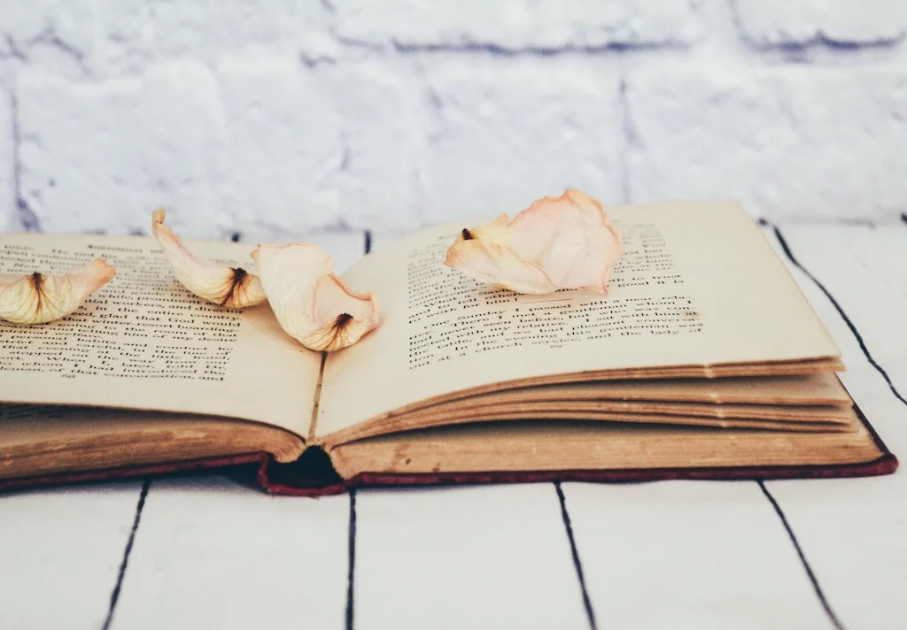 14 mots pour comprendre la po&eacute;sie 📜