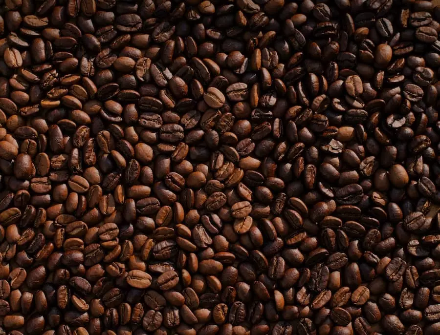 quiz cafe grains