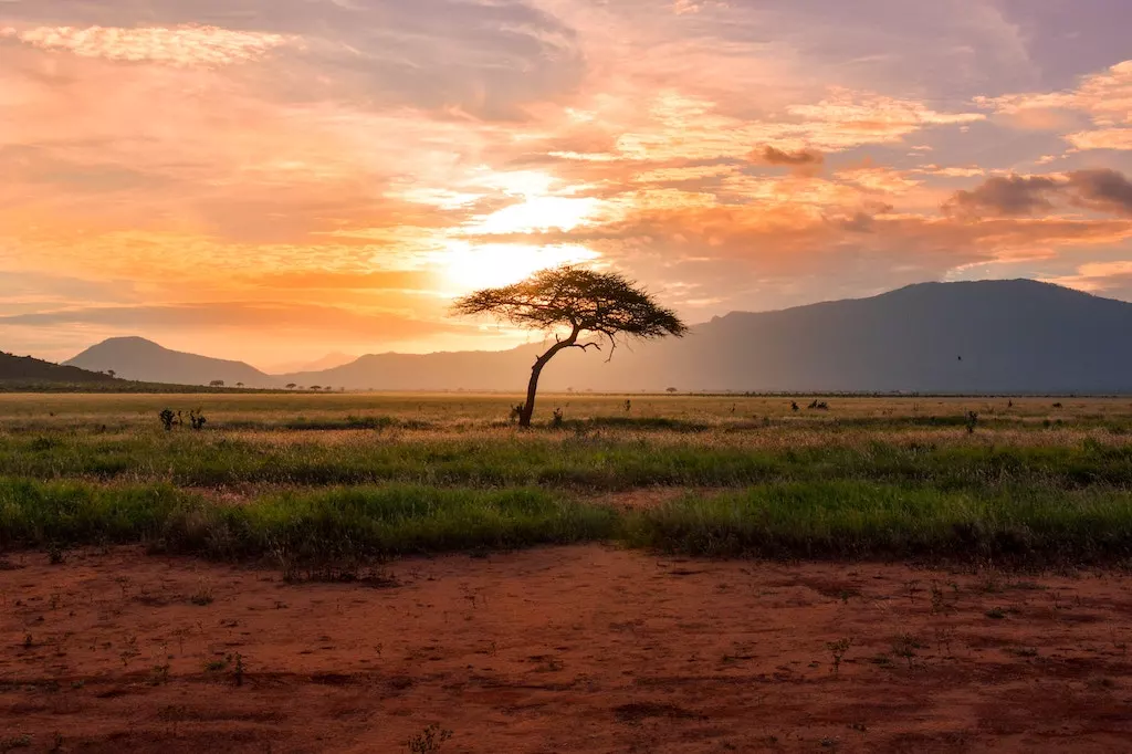 Quiz : g&eacute;ographie de l&rsquo;Afrique