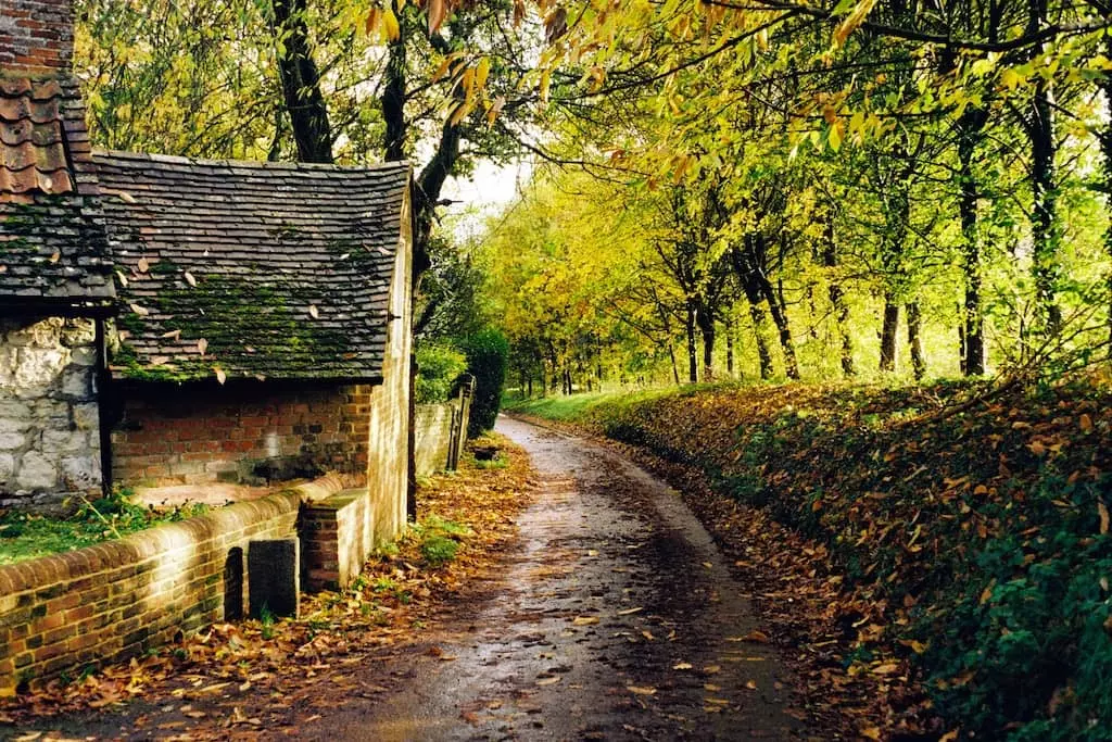 angleterre chemin ferme campagne foret