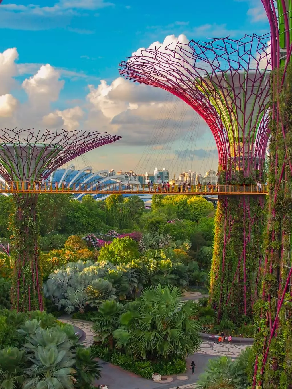 gardens by the bay singapour