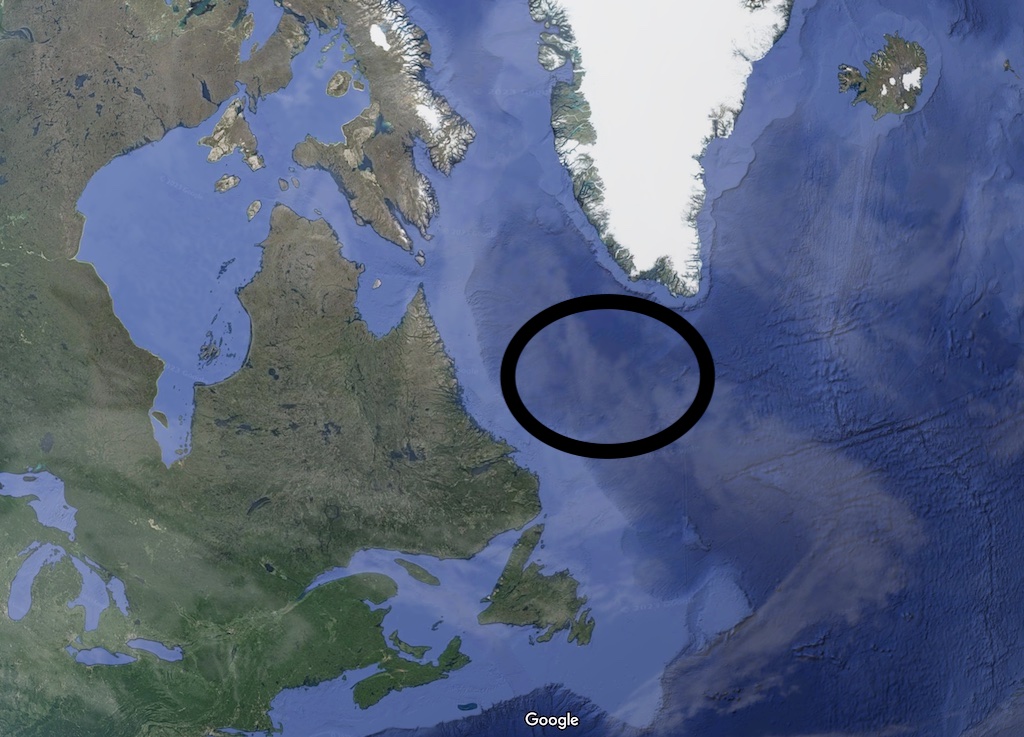 mer labrador