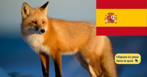 quiz vocabulaire espagnol animaux