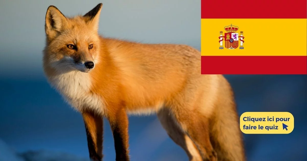 Quiz vocabulaire espagnol : les animaux