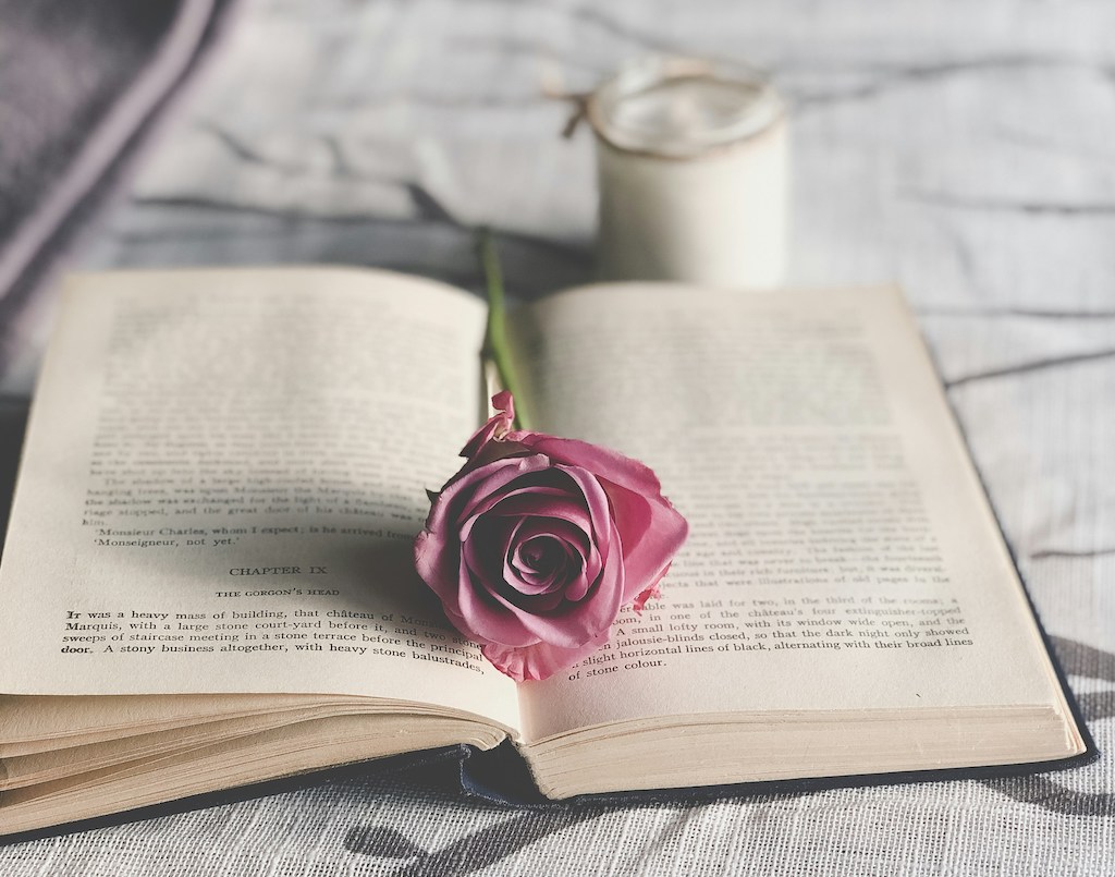 Quiz de vocabulaire (n&deg;19) avec r&eacute;ponses